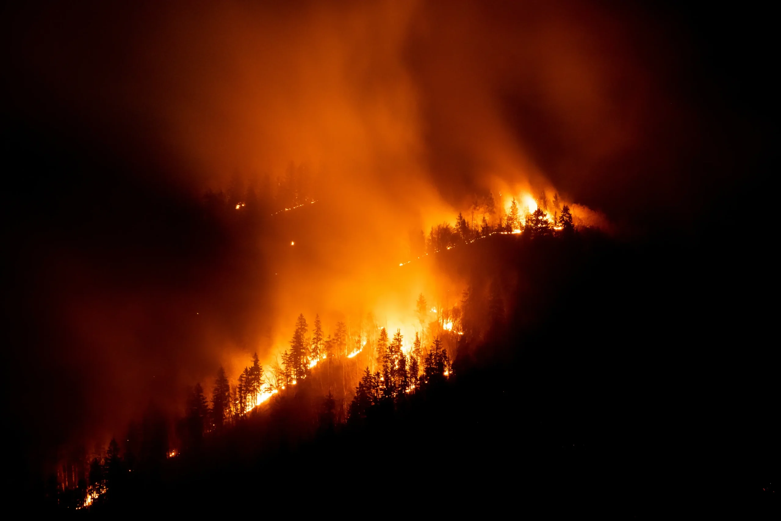 Wildfires