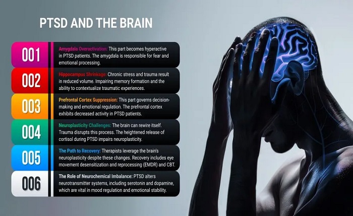Brain and Body