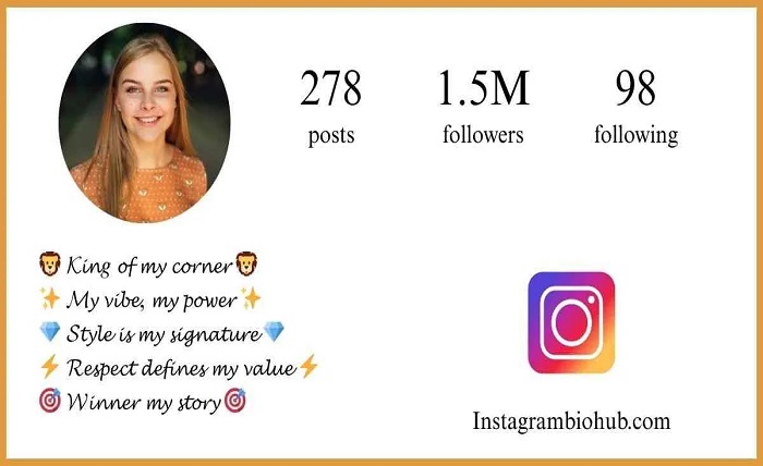 instagram bio for boys attitude stylish