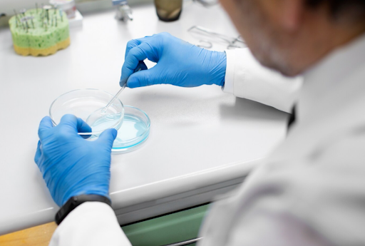 Labs Switch 