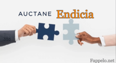 Auctane Endicia: Your Shipping Solution for Growing Businesses