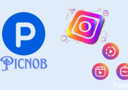 Picnob: Uncover the Best Instagram Viewer and Downloader