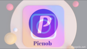 How to Use Picnob for Viewing and Downloading Instagram Content?