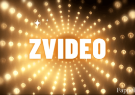 Zvideo: The Ultimate Platform for Creators and Viewers