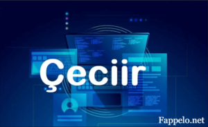 What is Çeciir?