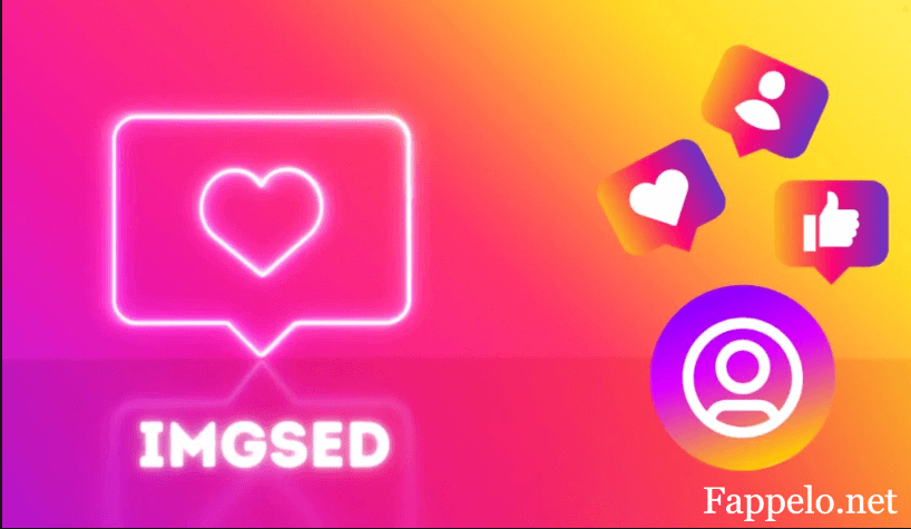 IMGSED: Enhanced Image Management Solution