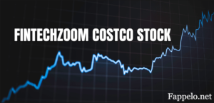 What is FintechZoom Costco Stock?