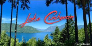 Best Time to Visit Lake Cushman