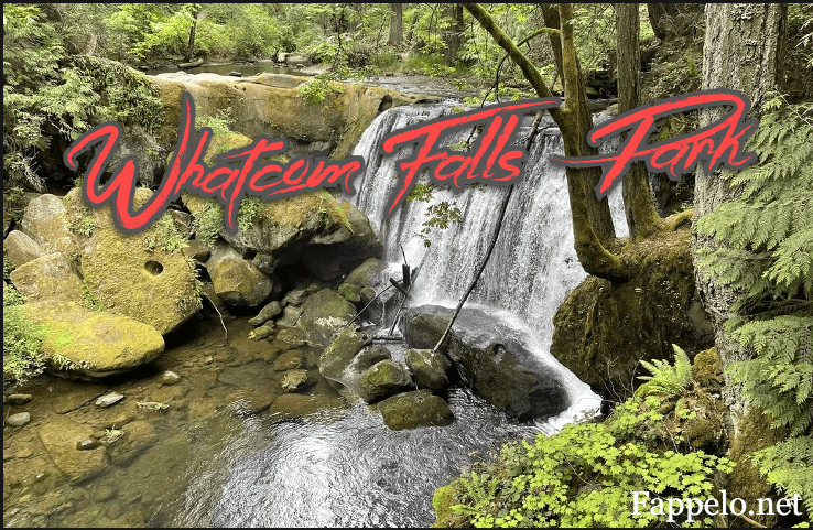 Whatcom Falls Park: Must-See Attractions and Activities