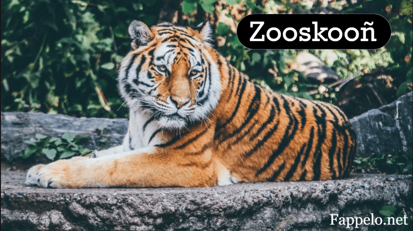 Zooskooñ: Bridging Cultural Heritage and Ecological Wonders