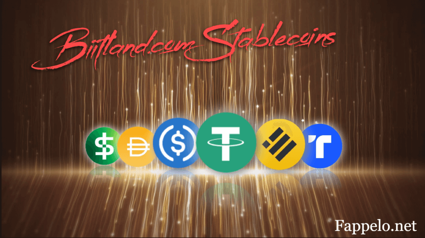 Biitland.com Stablecoins: A Safe Harbor in the Cryptocurrency