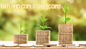 Why Choose Biitland.com Stablecoins?