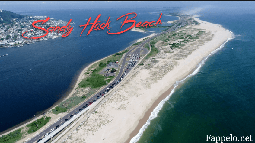 Sandy Hook Beach: Tips and Highlights for Every Traveler