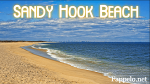 How to Get to Sandy Hook Beach?