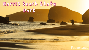 Tips for Visiting Harris Beach State Park