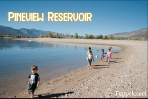 Where Is Pineview Reservoir?