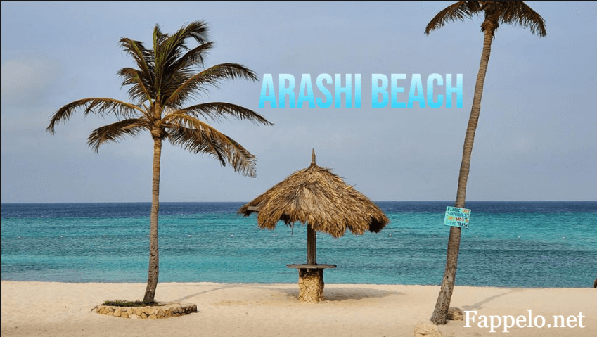 Arashi Beach: A Perfect Paradise for Beach Lovers