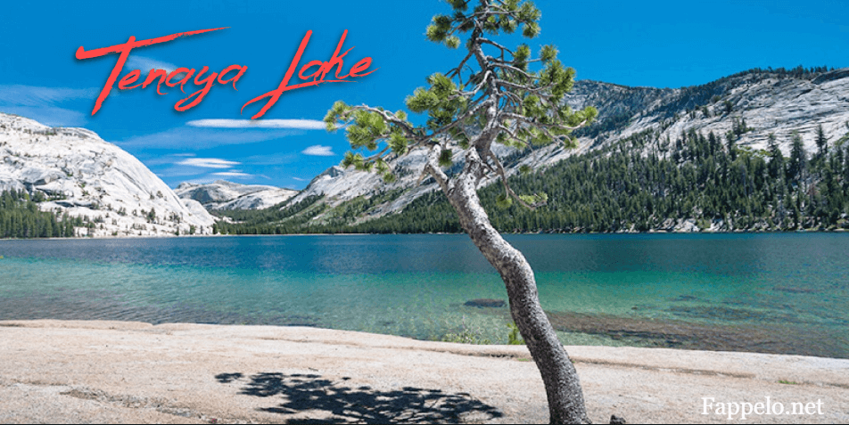 Tenaya Lake: Hikes, Activities, and Nearby Attractions