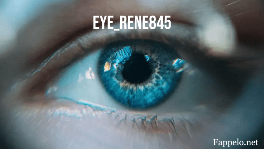 Eye_Rene845: A Game-Changer for Digital Inclusion and Usability