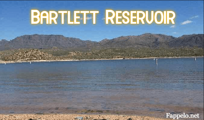 Bartlett Reservoir: Your Guide to a Perfect Day Outdoors