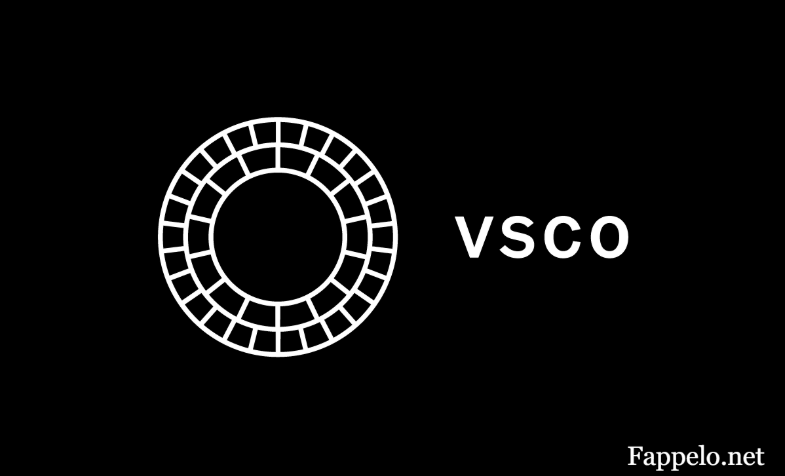 Mastering VSCO Search for Stunning Visuals