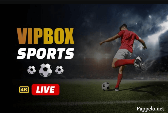 VIPBox Uncovered: The Ultimate Guide to Free Sports Streaming