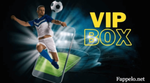 What is VIPBox?