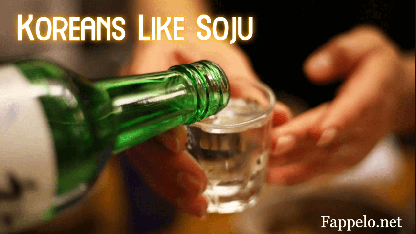 Why Do Koreans Like Soju?