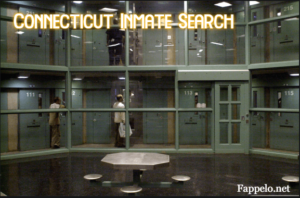 Understanding the Connecticut Inmate Search System