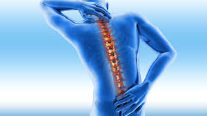 Understanding Spine Health: Key Practices for Longevity