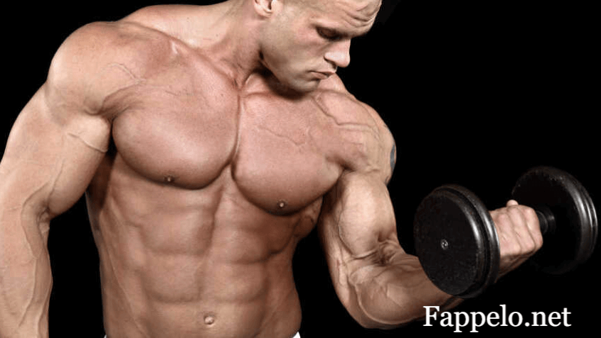 WellHealth How to Build Muscle Tag? Guide to Sustainable Strength