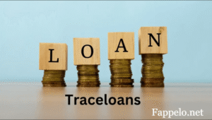 Overview of TraceLoans