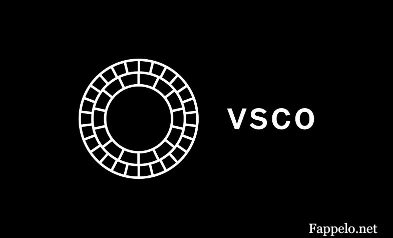 Cracking the Code: A Deep Dive into VSCO Search