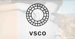 Understanding VSCO: What Makes It Special?
