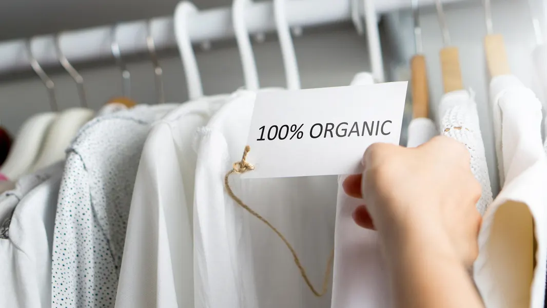 Sustainable Style: Eco-Friendly Dresses for the Conscious Shopper