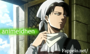What is Animeidhen?
