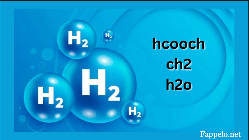 HCOOCH + CH2O Reaction: Understanding the Chemistry Behind the Process
