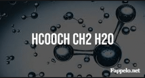 What Are HCOOCH and CH2O?