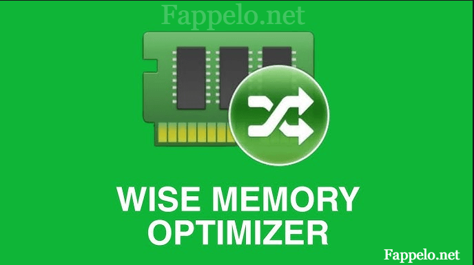 What is wisememoryoptimizer com