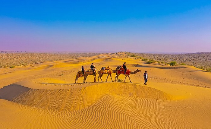 Jaisalmer Camel Safari Tours